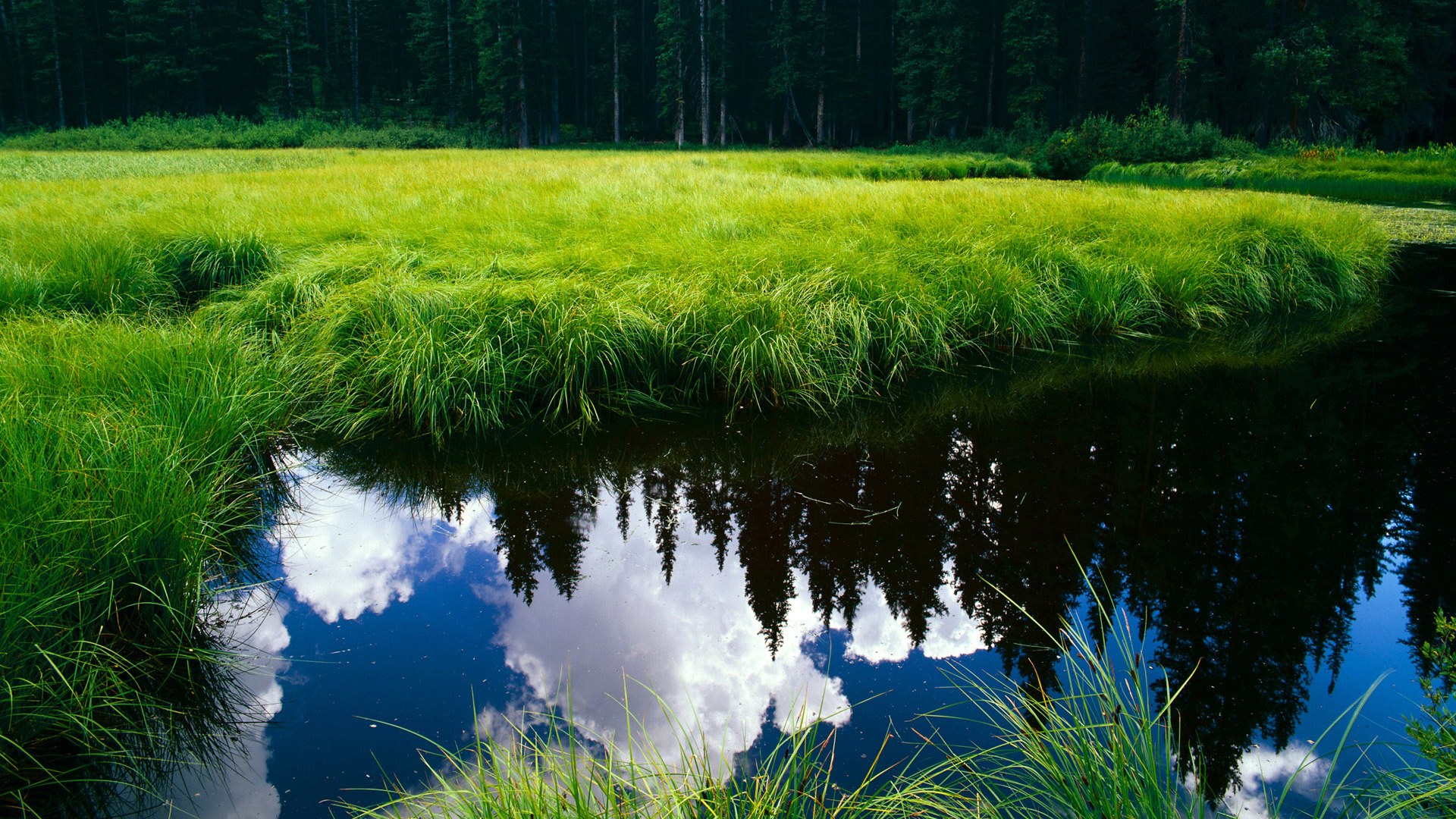 开拓者主场取胜,战胜爵士展现实力,开拓者对爵士的比分预测