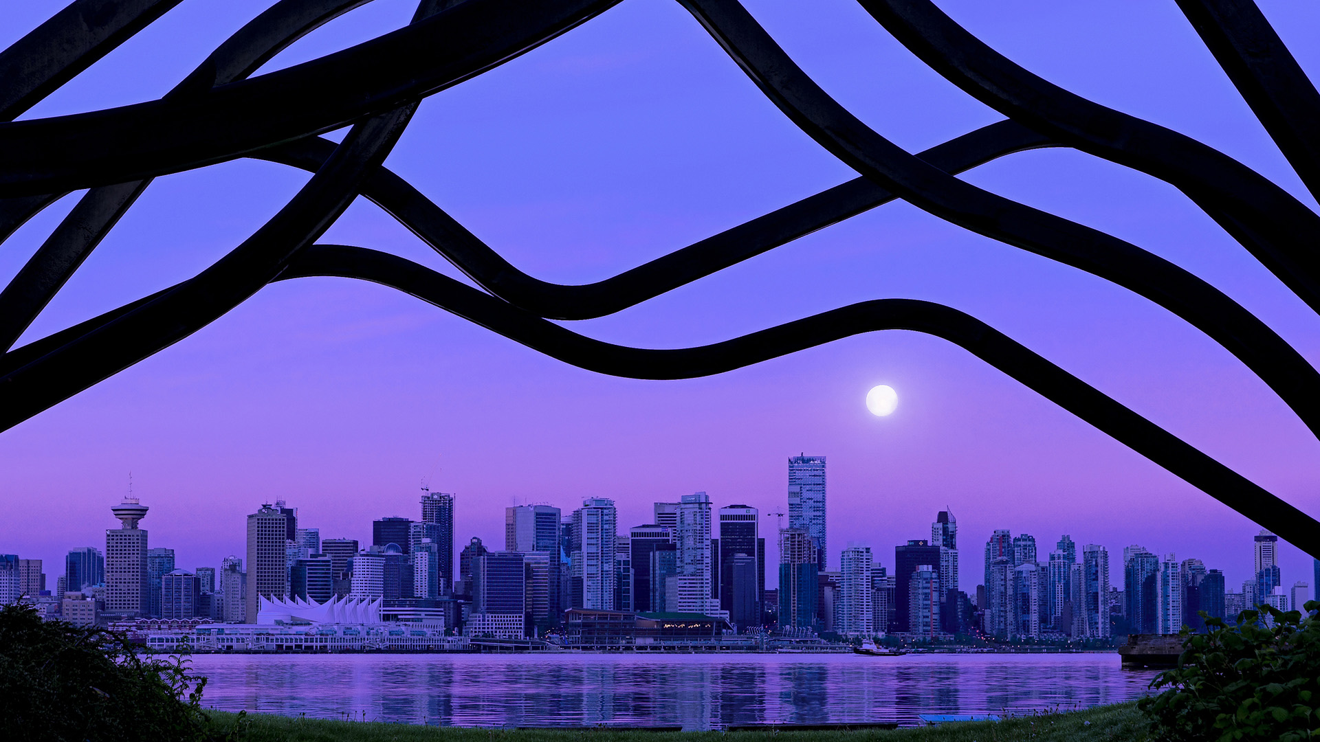 开云体育客户端-福建豹发力 外援组合引关注，福建豹发力11连败