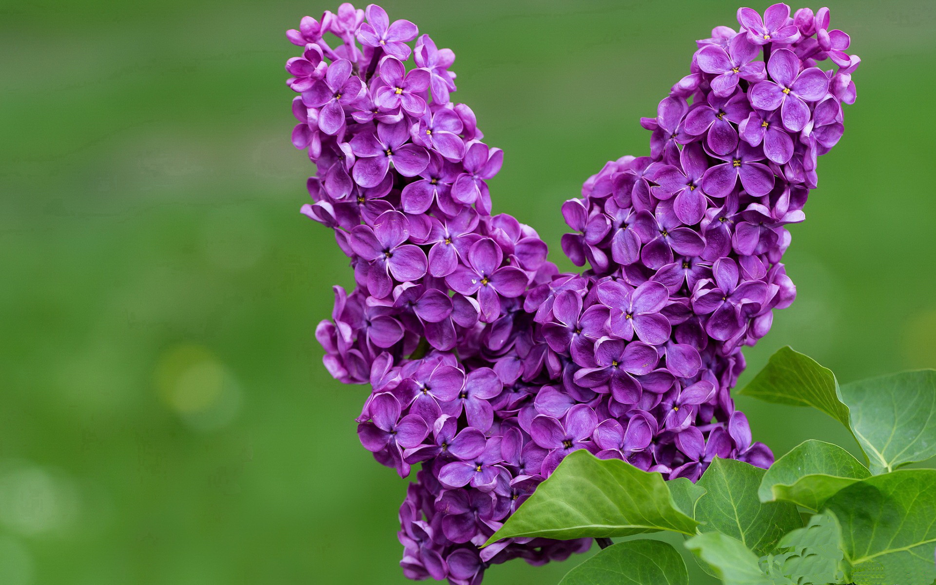 青训课程设计不符合实际需求，青训课程设计不符合实际需求怎么办