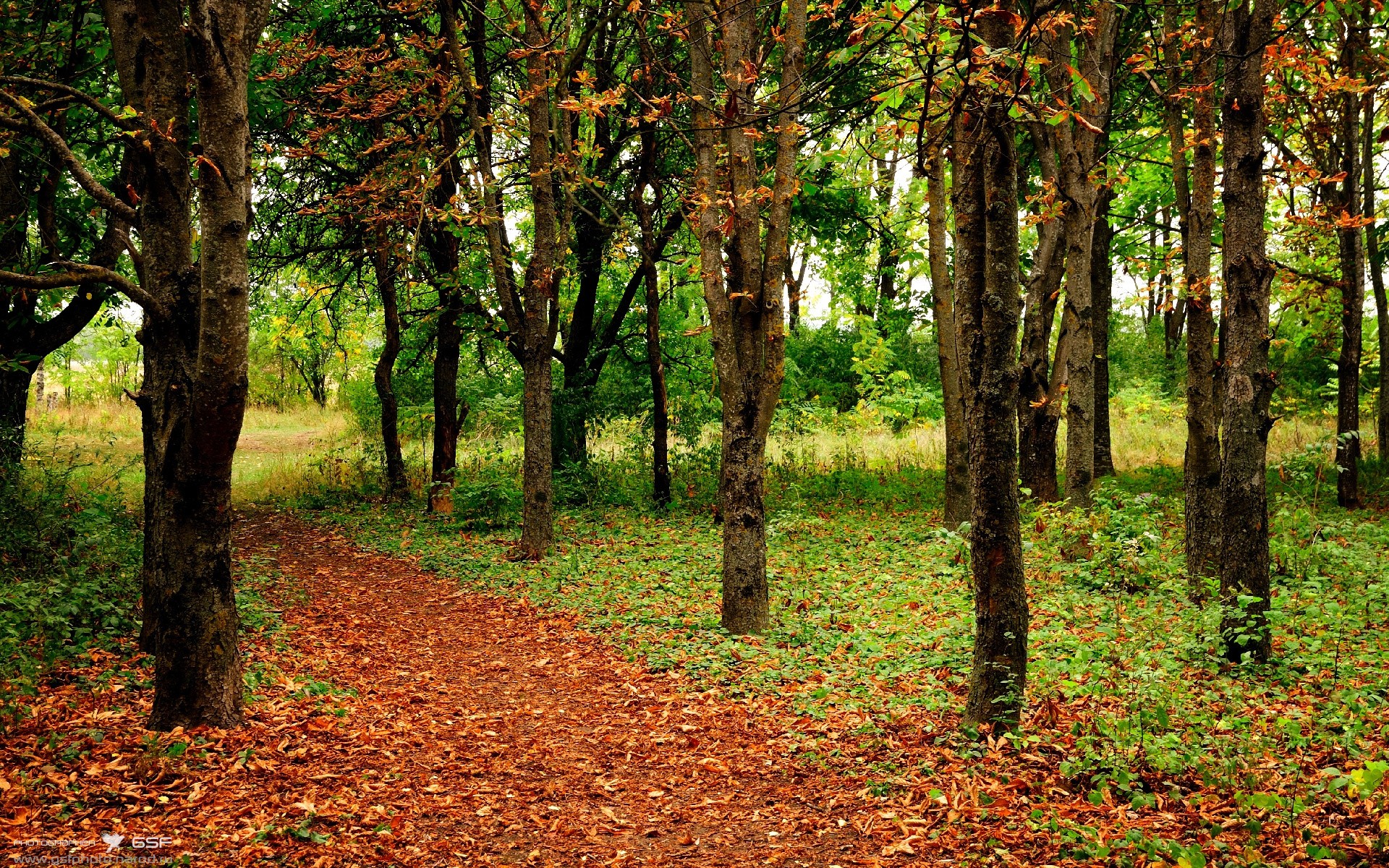 弗朗索瓦·霍尔茨豪伊泽:出色的跑位与无懈可击的防守反应,助力南非队取胜